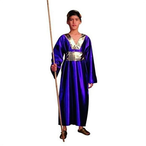 Wiseman Costume - Purple - Size Child Small 4-6