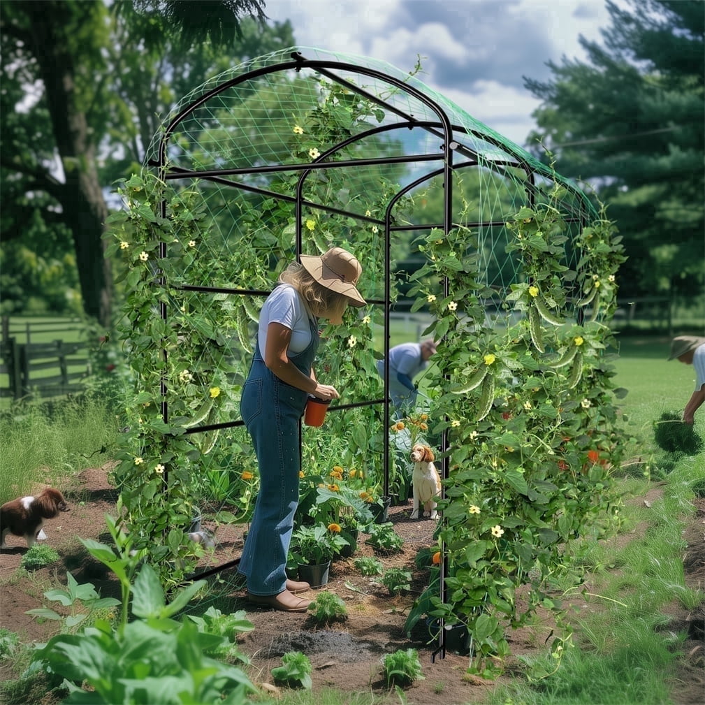41x63x63" Black Iron  Garden Trellis Arch Support for Plants Vegetables Flowers, Nylon Mesh