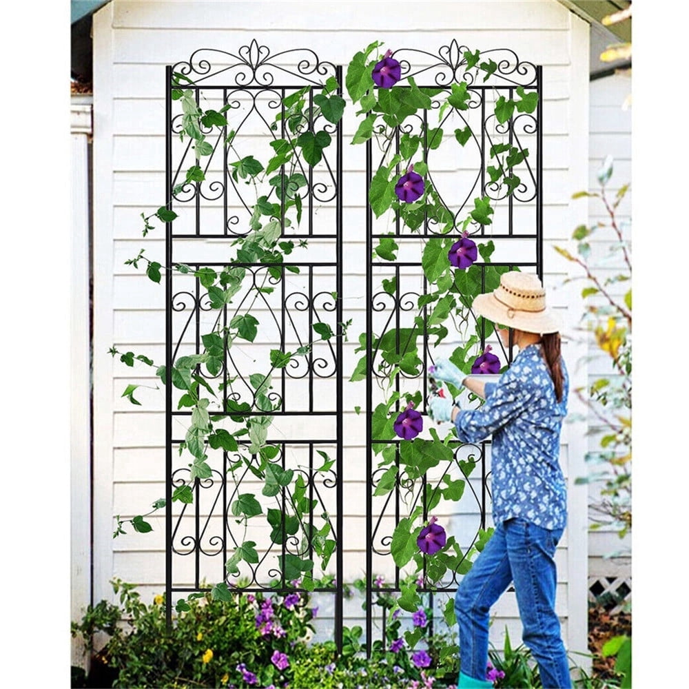 2pcs Black Metal Garden Trellis Rose Grapes Plant Trellis Outdoor Screen,19.7x71.6 inch