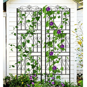 2pcs Metal Black Garden Trellis Rose Grapes Plant Trellis Outdoor Screen,19.7x71.6 inch
