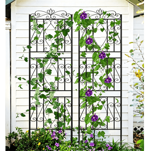 2pcs Metal Black Garden Trellis Rose Grapes Plant Trellis Outdoor Screen,19.7x71.6 inch
