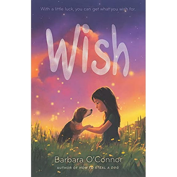Pre-Owned Wish (Paperback) 1250144051 9781250144058