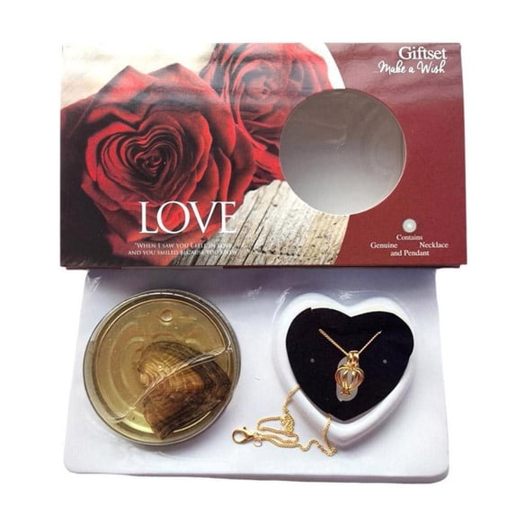 Wish Pearl Necklace Kit - DIY Necklace Making Kit, Necklace Cage Locket Cultured Pearl in Oyster Set, Valentines Day Gift for Her Wife, Girlfriend, Mother