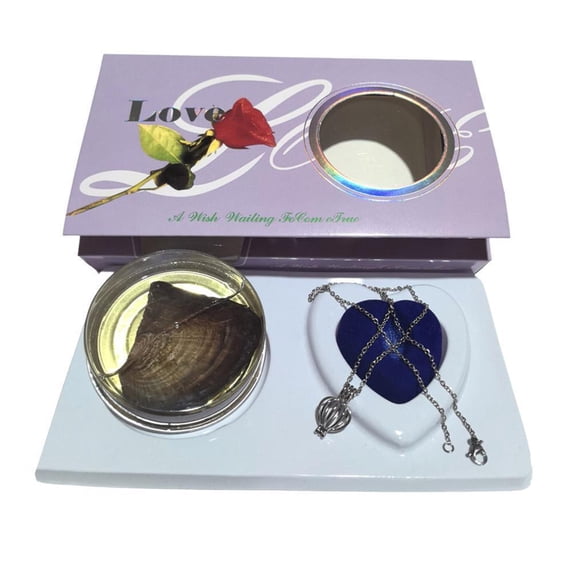 Wish Pearl Necklace Kit - DIY Necklace Making Kit, Necklace Cage Locket Cultured Pearl in Oyster Set, Valentines Day Gift for Her Wife, Girlfriend, Mother