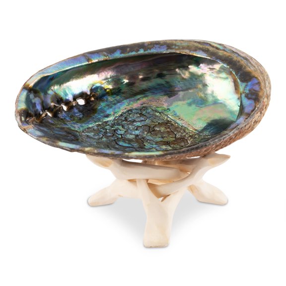 Wish Well Natural Abalone Shell 5-6 Inch Large with Wooden Stand - Incense Holder and Sage Smudge Bowl for Cleansing, Smudging, and Meditation - Palo Santo Holder & Beautiful Home Decor