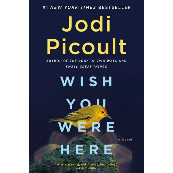 Wish You Were Here: A Novel (Paperback)