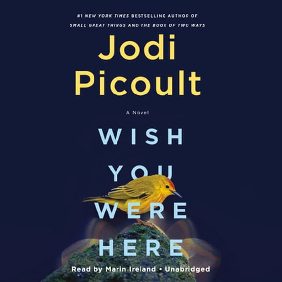 Pre-Owned Wish You Were Here: A Novel Paperback