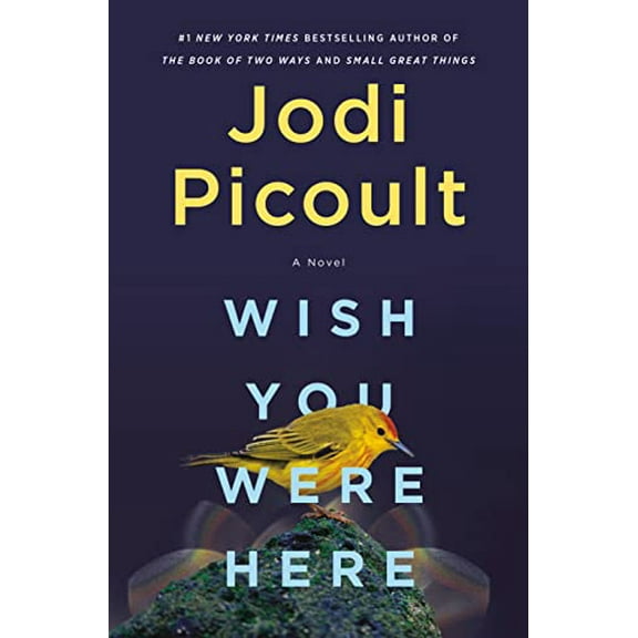 Pre-Owned Wish You Were Here (Hardcover) 073527696X 9780735276963
