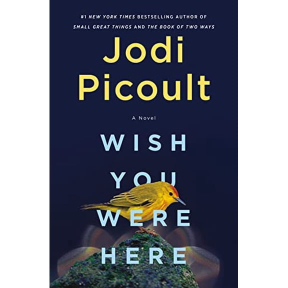 Pre-Owned Wish You Were Here: A Novel