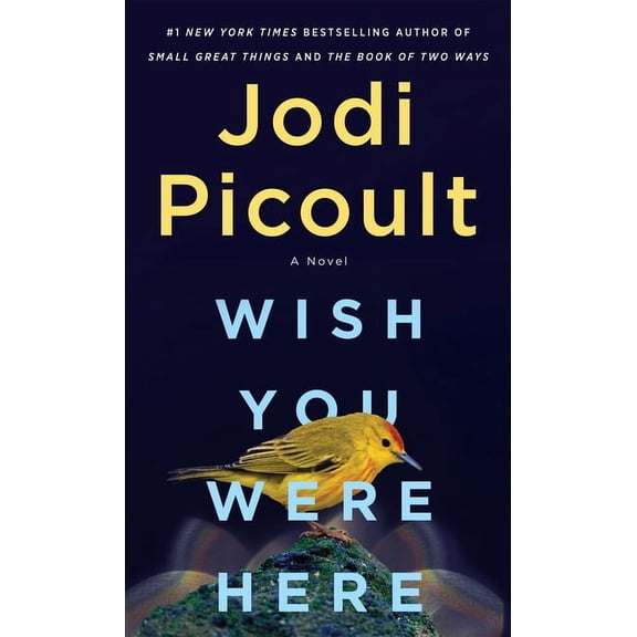 Wish You Were Here, (Paperback)