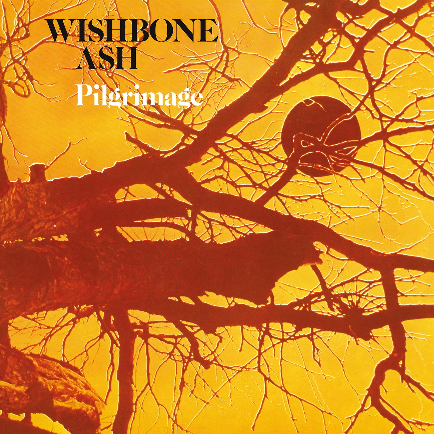 Wishbone Ash - Pilgrimage - Music & Performance - Vinyl
