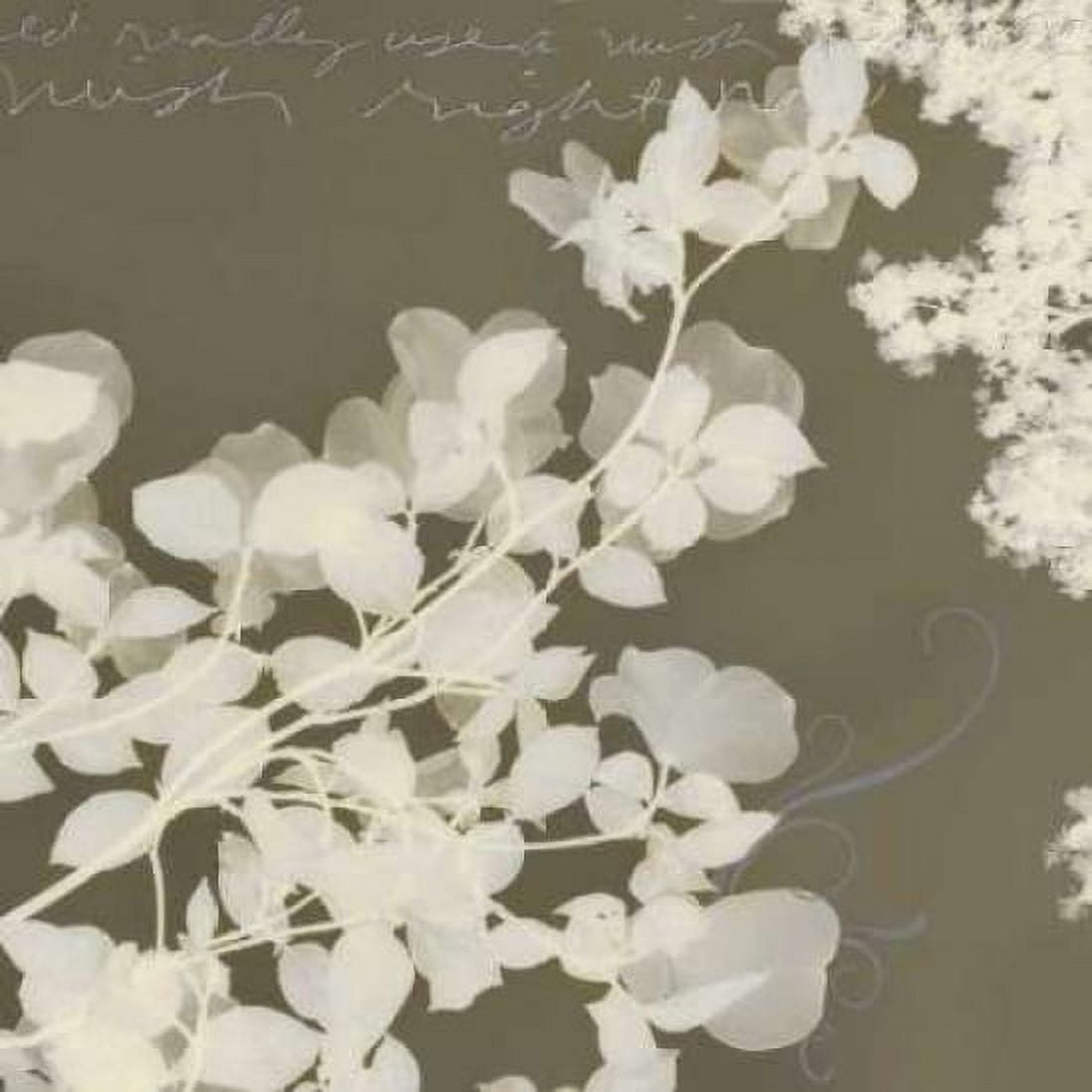 Wishes and Leaves I Canvas Art - Amy Melious (24 x 24)