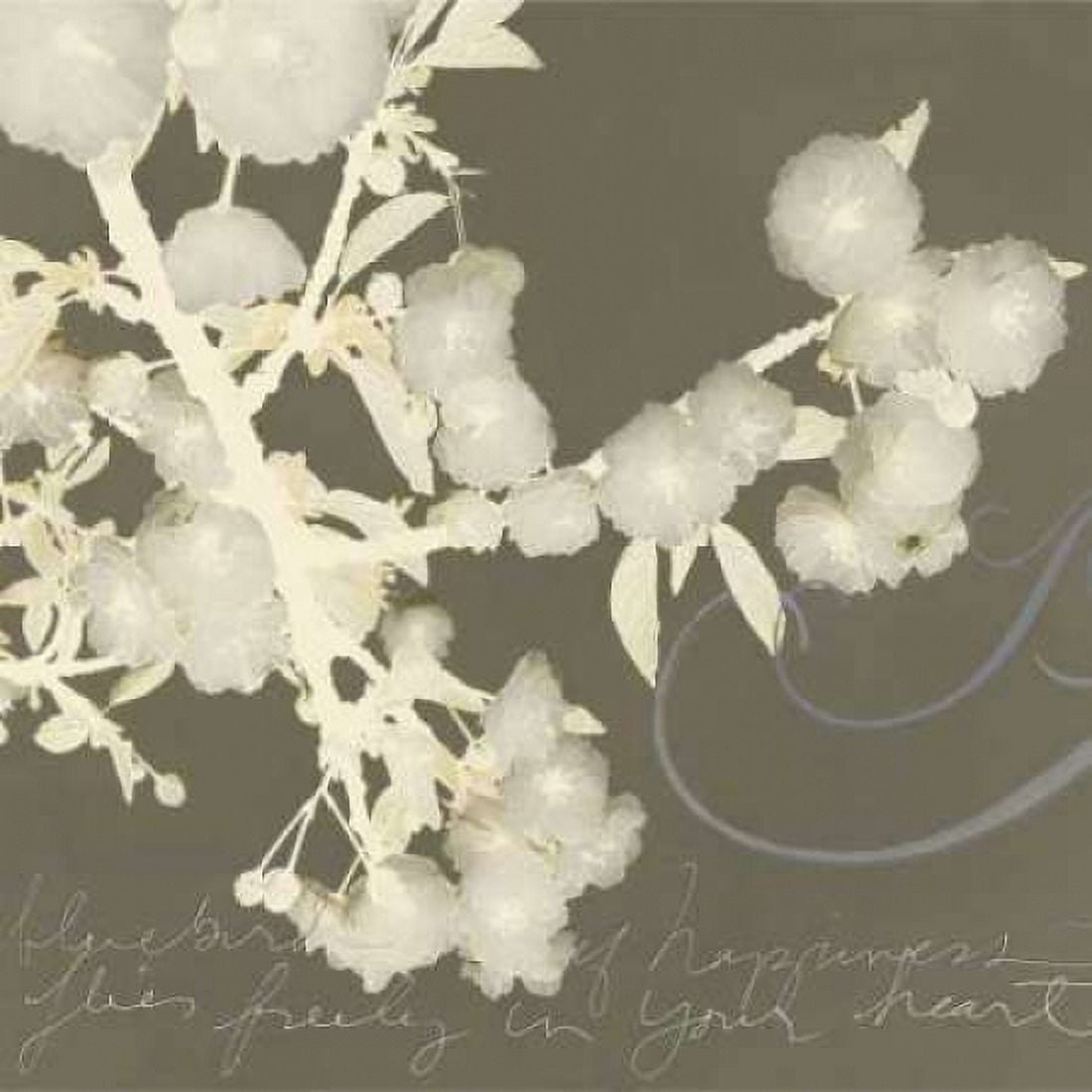 Wishes and Leaves II Canvas Art - Amy Melious (24 x 24)