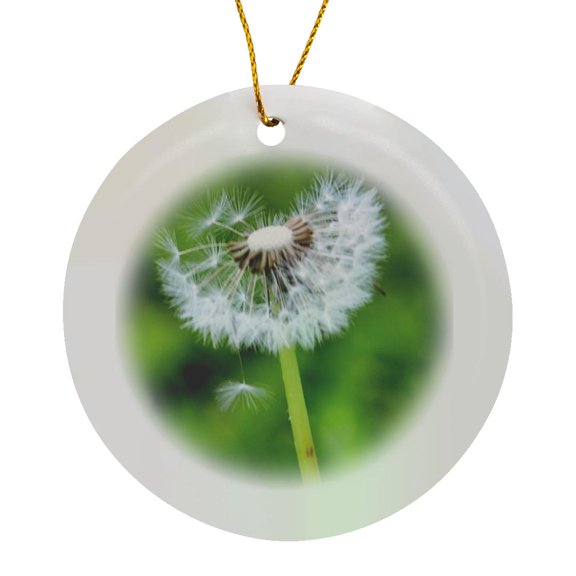 3drose, Wishing - Spring Flower - Dandelion, Circle Porcelain Ornament