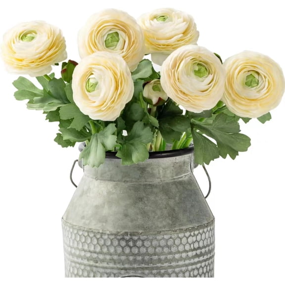 Wishrage 6PCS Artificial Ranunculus Flowers with Real Touch Stem Silk Ranunculus Flowers for Household Arrangement