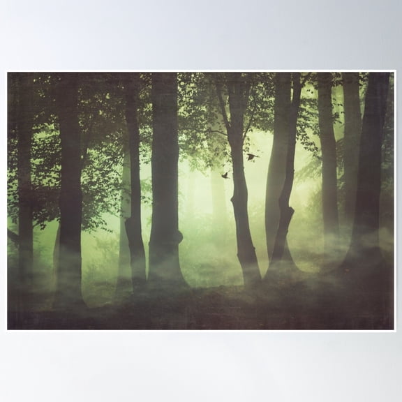 Wispy Forest Mists Poster Wall Art, Modern Wall Decor, 8x12 UNFRAMED