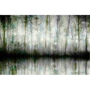 Wispy Trees Reflect by Parvez Taj Painting Print on Wrapped Canvas