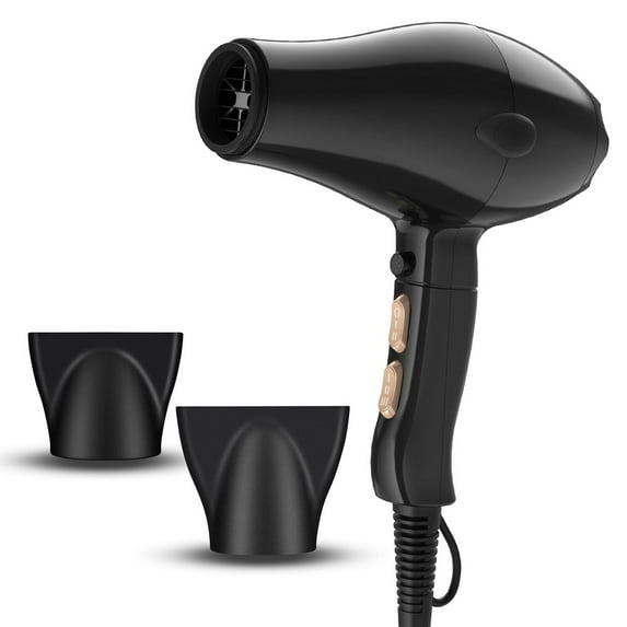 Wisremt 2100 Watt Ionic Hair Dryer, Black
