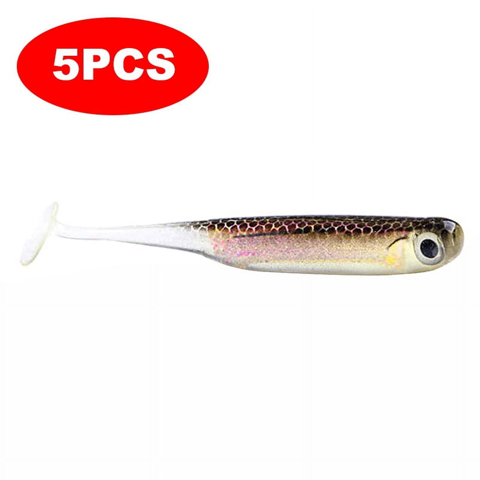 NOEBY 6pcs/lot Soft Lure 75mm/2.5g T- Fishing Lures Soft Worm Japan Shad  Swimbait Jig Head Fly Fishing Silicon Rubber Fish : NW208, 1pack 6pcs :  : Sports, Fitness & Outdoors