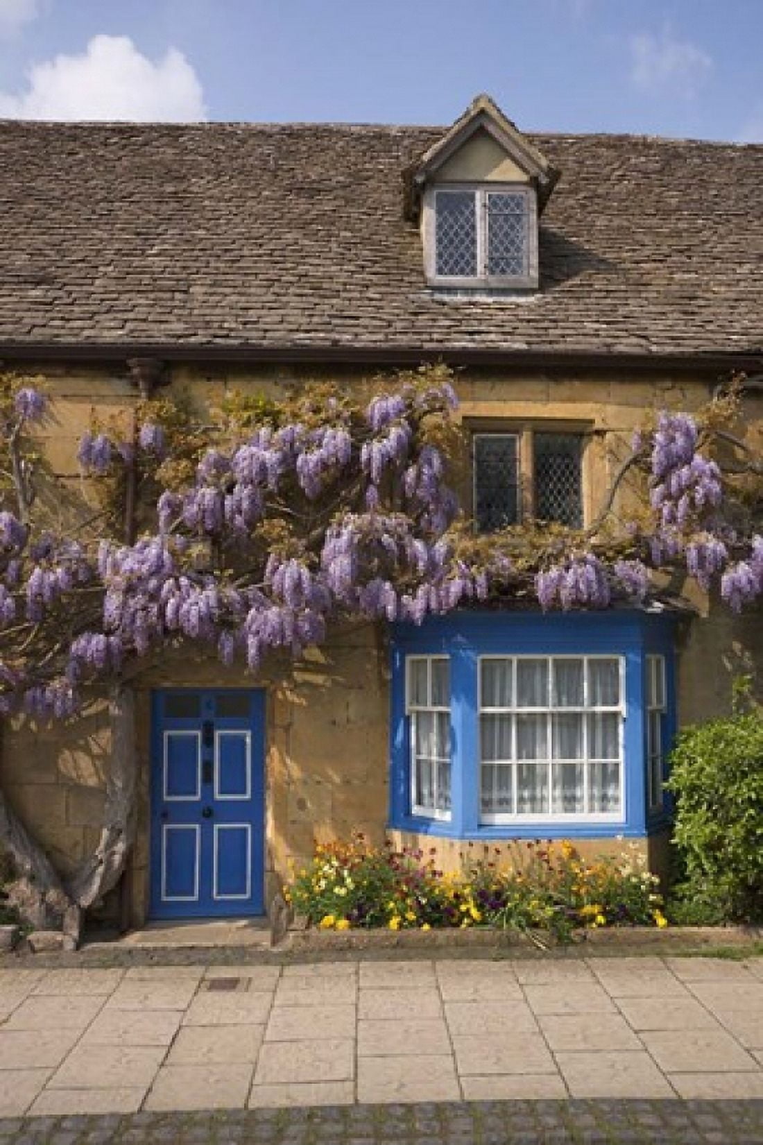 Wisteria Covered Cottage Broadway Cotswolds England Canvas Art - Paul Thompson DanitaDelimont (23 x 35)