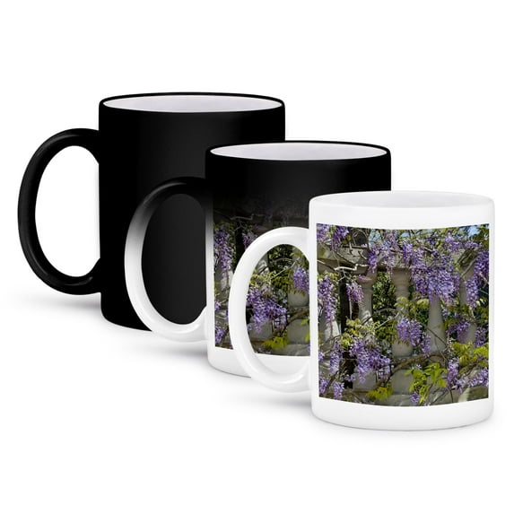 3drose, Wisteria Growing on Column Fence in Charleston, South Carolina, 11oz Magic Transforming Mug