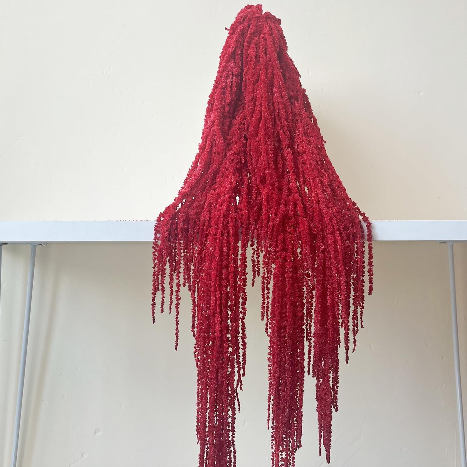 Wisteria Vine Hanging Flowers: 5Pcs Real Preserved Dried Amaranthus Flowers for Wedding, Flower Arrangement, Vase, 23"-26" Hanging Wisteria Flowers for Arch Decor Home Decor (Red)