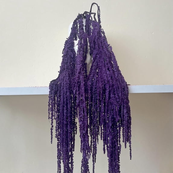 Wisteria Vine Hanging Flowers: 5Pcs Real Preserved Dried Amaranthus Flowers for Wedding, Flower Arrangement, Vase, 23"-26" Hanging Wisteria Flowers for Arch Decor Home Decor (Purple)