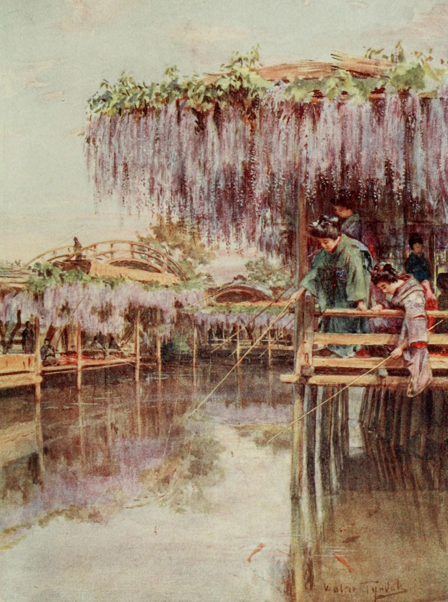Wisteria at Kameido Japanese Gardens 1912 Canvas Art - Walter Tyndale (18 x 24)
