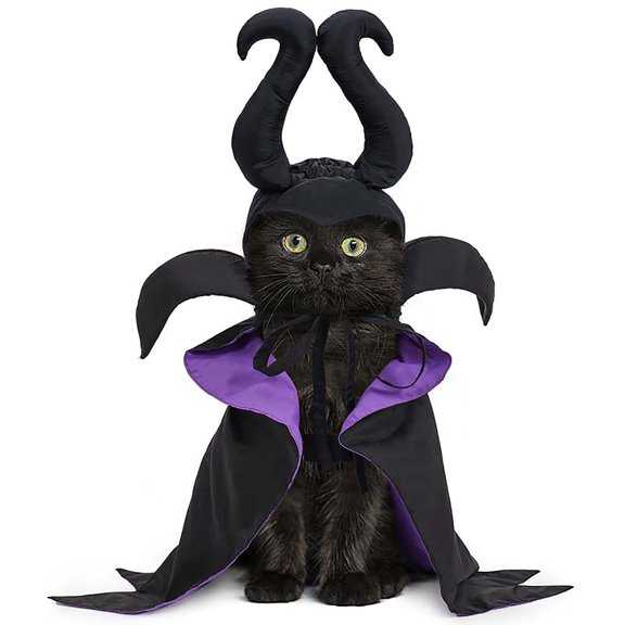 Witch Costume - Dog & Cat Halloween Cloak & Hat with Devil Horns & Vampire Teeth - Small & Medium Sizes