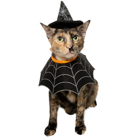 Witch Hat & Collar Pet Set