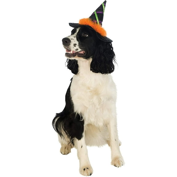 Witch Hat w/Trim Funny Fancy Dress Up Halloween Pet Dog Cat Costume Accessory