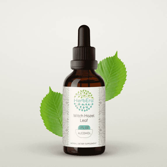 HerbEra Witch Hazel Leaf Tincture, Herbal Dietary Supplement for Skin and Wellness Support, Witch Hazel (Hamamelis virginiana) Dried Leaf Extract, Natural, Alcohol Tincture, Drops 2 oz