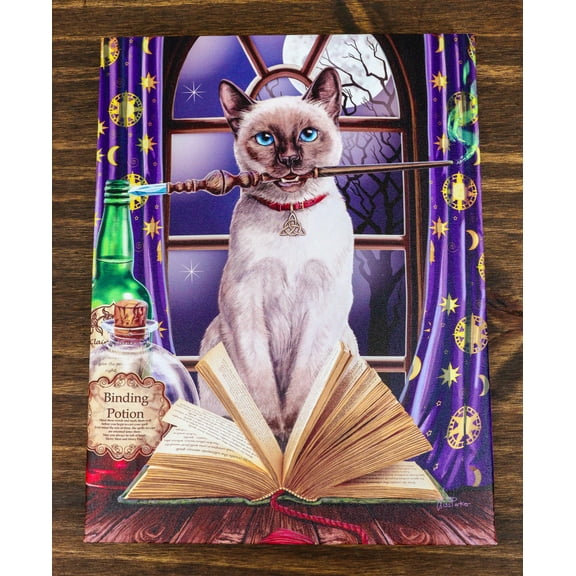 Witch Hocus Pocus Magic Wand Cat With Spellbook Wood Framed Canvas Wall Decor