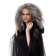 thumbnail image 1 of Witch/Old Lady Wig, 1 of 3