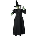 thumbnail image 1 of Witch Women's Plus Size Adult Halloween Costume, One Size, XXXL (24-26), 1 of 2