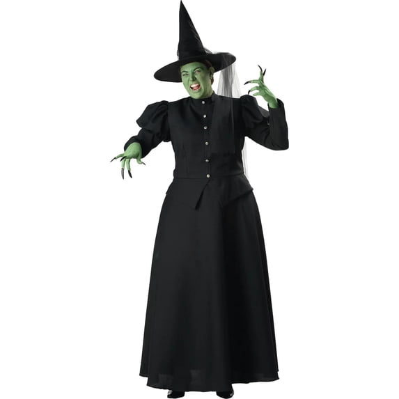 Witch Women's Plus Size Adult Halloween Costume, One Size, XXXL (24-26)