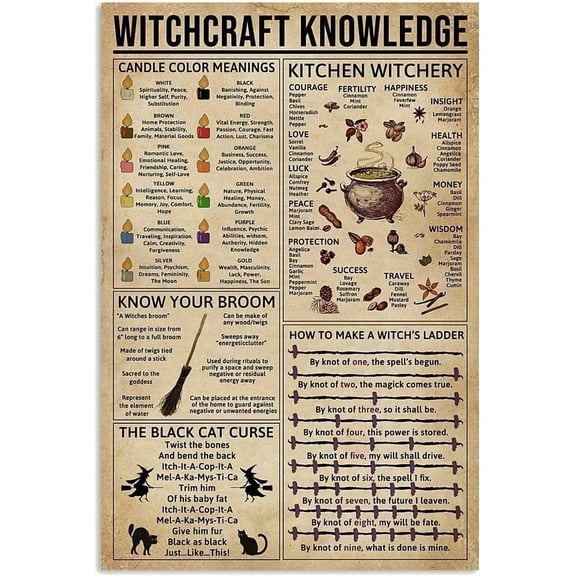 Witchcraft Knowledge Witch for Vintage Poster Metal Tin Signs Wall Decor Bar Cat Club Novelty Funny Iron Painting Plaque Bathroom Kitchen Toilet Paper Retro Parlor Cafe Store 8x12 inches