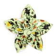 thumbnail image 1 of Witches Brew Flower, 1 of 3