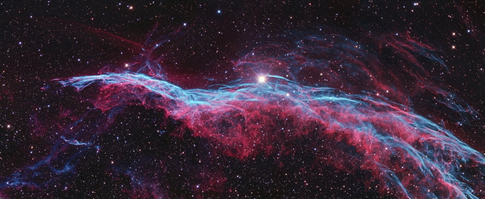 Witchs Broom Nebula Canvas Art - Ken CrawfordStocktrek Images (44 x 18)