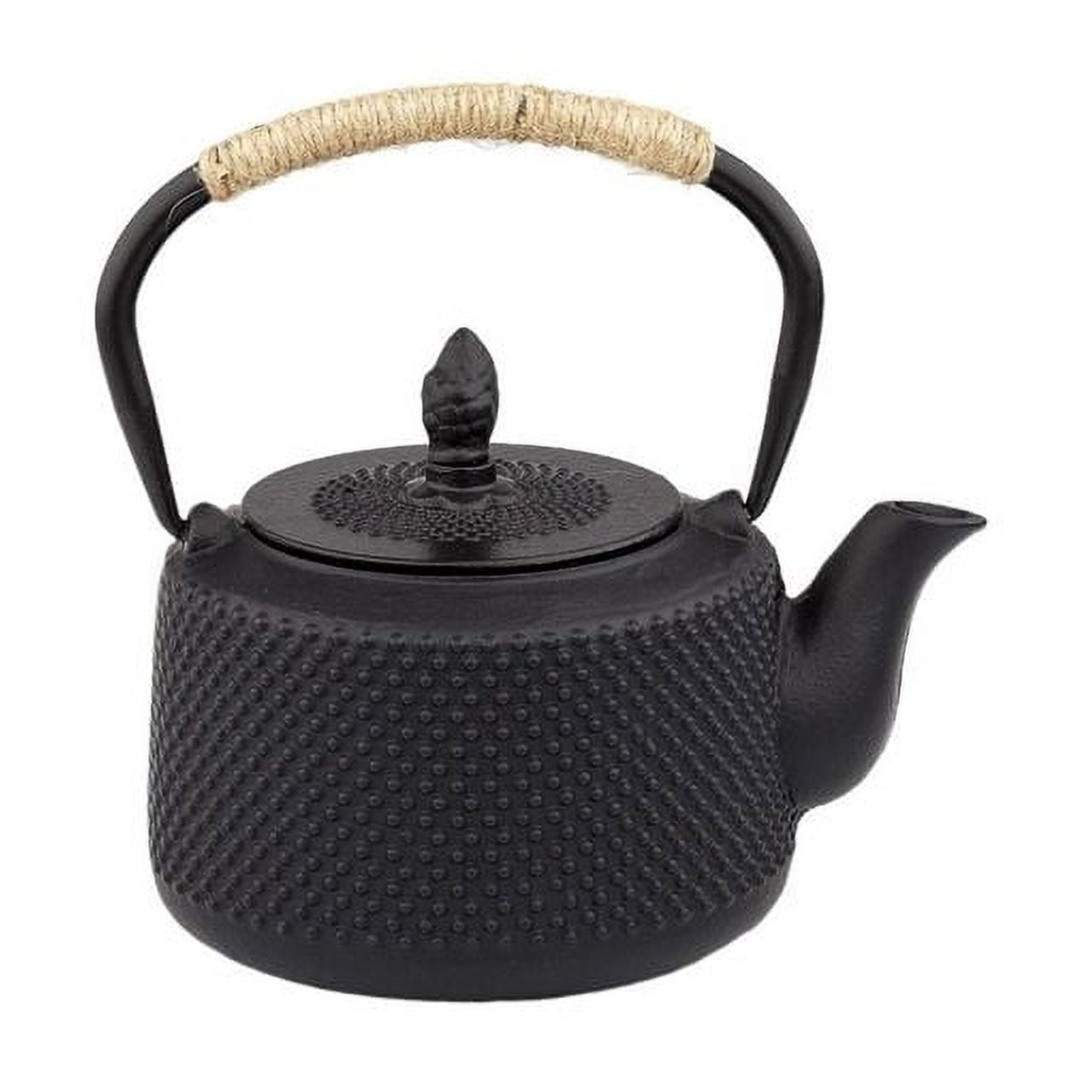 With Stainless Steel Infuser Cast Iron Pot Teapot Chinese Japanese ...