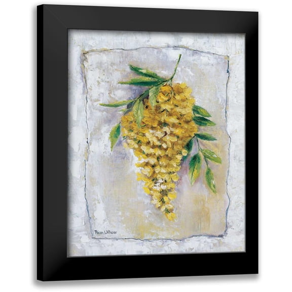Withaar, Rian 12x14 Black Modern Framed Museum Art Print Titled - Yellow Laburnum