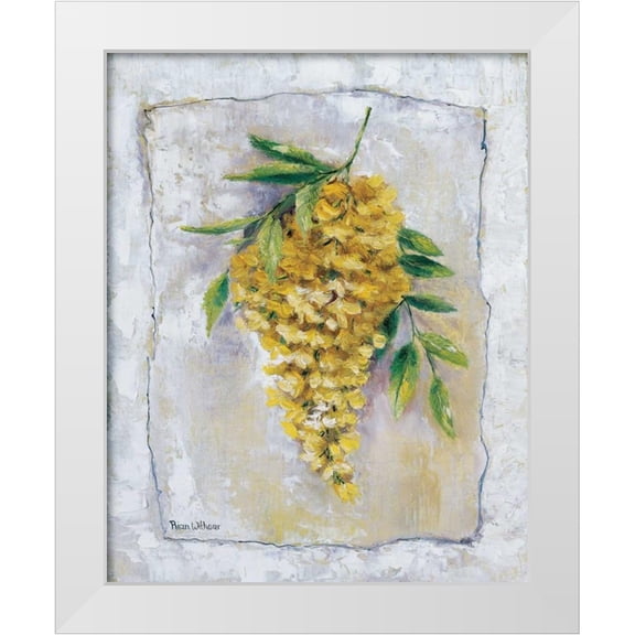 Withaar, Rian 12x14 White Modern Wood Framed Museum Art Print Titled - Yellow Laburnum