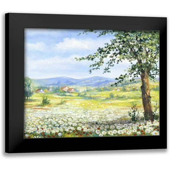 Withaar, Rian 18x15 Black Modern Framed Museum Art Print Titled - Marguerites field