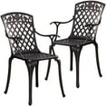 Withniture Outdoor Metal Armchair Set of 2, Cast Aluminum Patio Dining