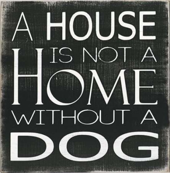 Without a Dog Canvas Art - Holly Stadler (24 x 24)