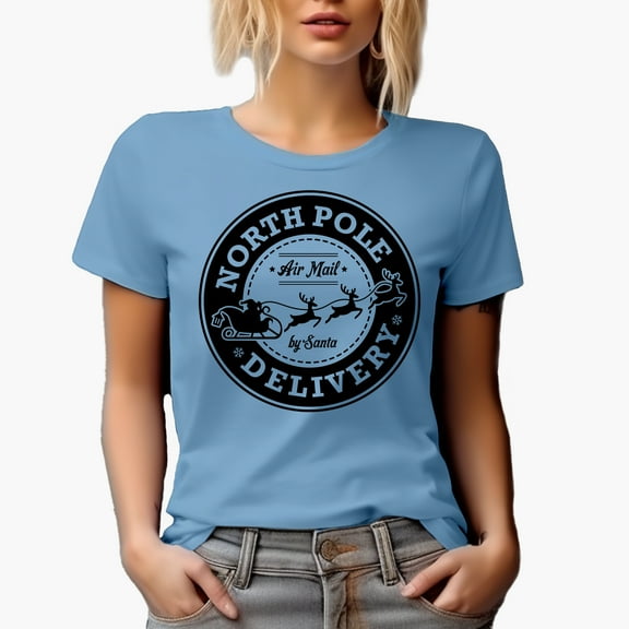 Witty North Pole Delivery, Air Mail by Santa with Reindeers, Christmas Art Merch Gift, Baby Blue T-Shirt, Small