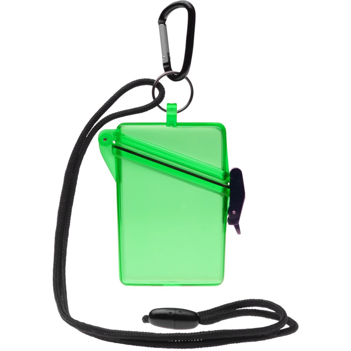 Witz See-It Safe Dry Case