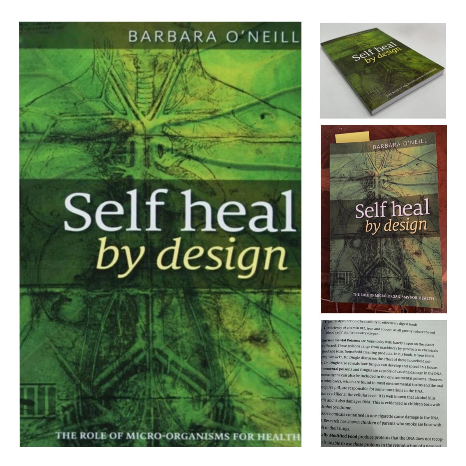 Barbara O'Neill'S Secret To Self Healing: Get The Free Pdf - 1x5z836