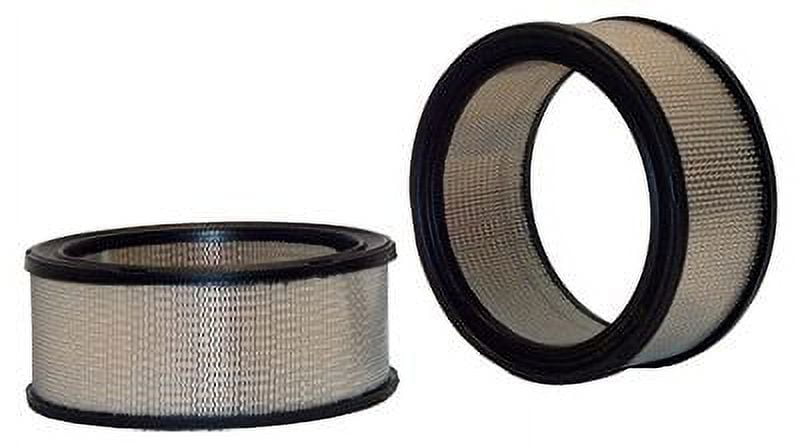 Wix 42444 Air Filter, Pack of 1