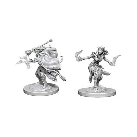 WizKids WZK73389 Female Tiefling Warlock W6 Dungeons & Dragons Nolzurs Marvelous Miniatures